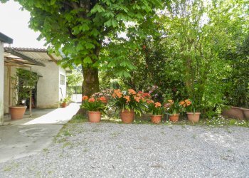 Foto 52 - Semi-detached house Lucca - photo 46