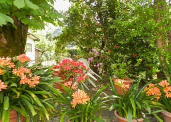 Foto 56 - Semi-detached house Lucca - photo 50