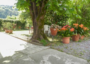 Foto 57 - Semi-detached house Lucca - photo 51