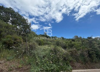 Foto 2 - Agricultural land Via Colfiorito, Santa Marinella - photo 2