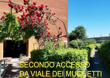 Zona - Appartamento corso Molise, 47, Torino - foto 7