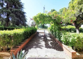 Giardino - Appartamento corso Molise, 47, Torino - foto 29