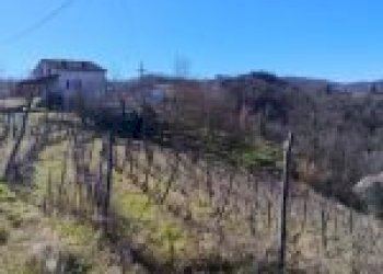 Agricultural land Canelli - photo 32