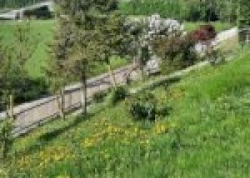 Independent house Canelli - photo 3