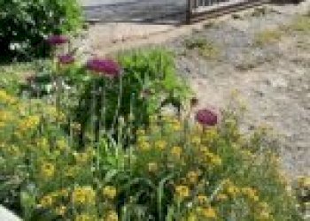 Independent house Canelli - photo 4