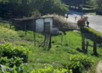 Independent house Canelli - photo 5
