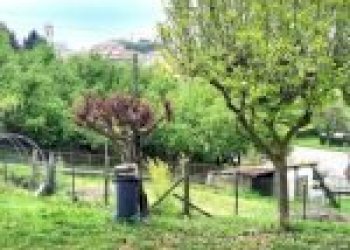 Independent house Canelli - photo 13