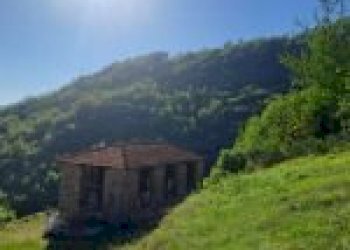 Agricultural land Canelli - photo 19