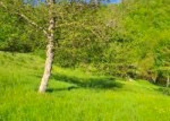 Agricultural land Canelli - photo 24