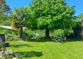 Farm Canelli - photo 46