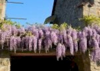 Farm Canelli - photo 48