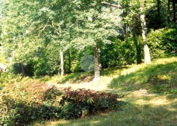 Casa indipendente Frazione Montenotte Superiore, Cairo Montenotte - foto 7