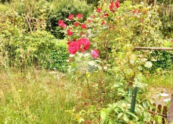 Casa indipendente Frazione Montenotte Superiore, Cairo Montenotte - foto 16