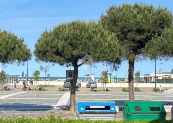 Trilocale Viale francesco petrarca, Ravenna - foto 4