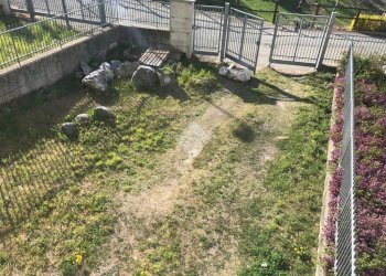 Villa a Schiera Frazione marchetto, Valdilana - foto 7
