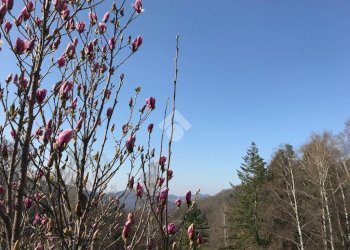 Villa a Schiera Frazione marchetto, Valdilana - foto 15