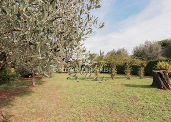 Foto 9 - Villa Via Ferruccio Parri, Velletri - photo 9