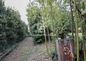 Foto 50 - Villa Via Ferruccio Parri, Velletri - photo 50
