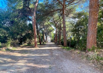 Foto 41 - Villa Via Monte Aquilino
 
1, San Benedetto del Tronto - foto 41