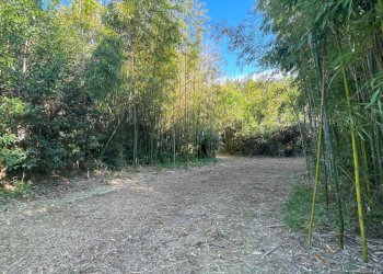 Foto 60 - Villa Via Monte Aquilino
 
1, San Benedetto del Tronto - foto 60