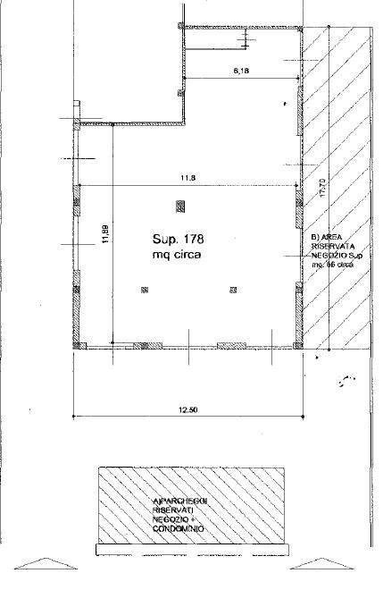 Foto 1 - Azienda agricola Porto San Giorgio - foto 1