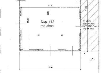Foto 1 - Azienda agricola Porto San Giorgio - foto 1