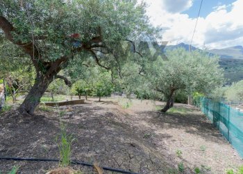 Giardino - Villa Contrada Burgio
 
SNC, Trabia - photo 24