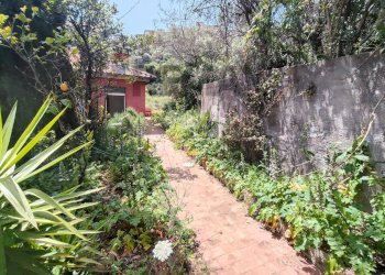 Giardino - Apartment Via Branco
 
44, Taormina - photo 9