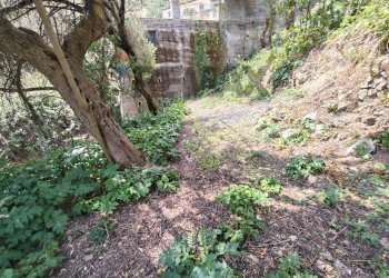 Giardino - Apartment Via Branco
 
44, Taormina - photo 22