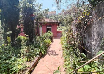 Giardino - Apartment Via Branco
 
44, Taormina - photo 31
