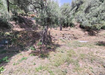 Giardino - Apartment Via Branco
 
44, Taormina - photo 36