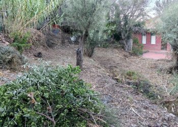 Giardino - Apartment Via Branco
 
44, Taormina - photo 47