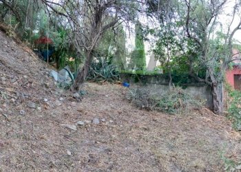 Giardino - Apartment Via Branco
 
44, Taormina - photo 57