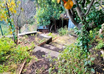 Giardino - Independent house via Luigi Capuana
 
51-53, Sant'Alfio - photo 48