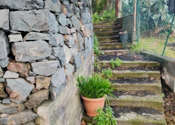 Giardino - Independent house via Luigi Capuana
 
51-53, Sant'Alfio - photo 51