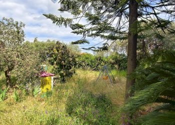 Giardino - Villa Via Rigolato
 
45, Acireale - foto 21