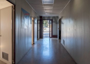Hall / corridoio - Capannone Via Dell'industria
 
17, Monte San Vito - foto 22