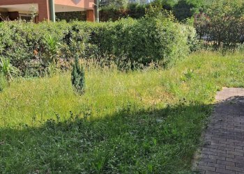 Giardino - Two-room apartment Via Copernico
 
14, Pero - photo 9
