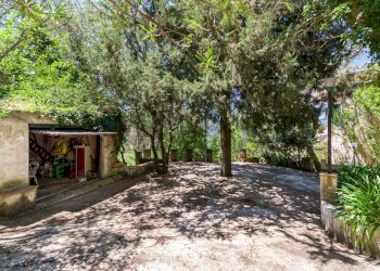 Giardino - Villa Sant'Agata di Militello - foto 9