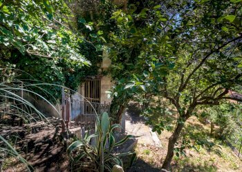 Giardino - Villa Sant'Agata di Militello - foto 30