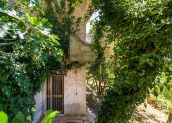 Giardino - Villa Sant'Agata di Militello - foto 31