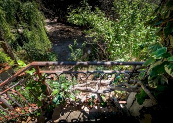 Giardino - Villa Sant'Agata di Militello - foto 44