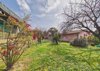 Giardino - Villa Via formellese nord
 
8700, Formello - foto 24