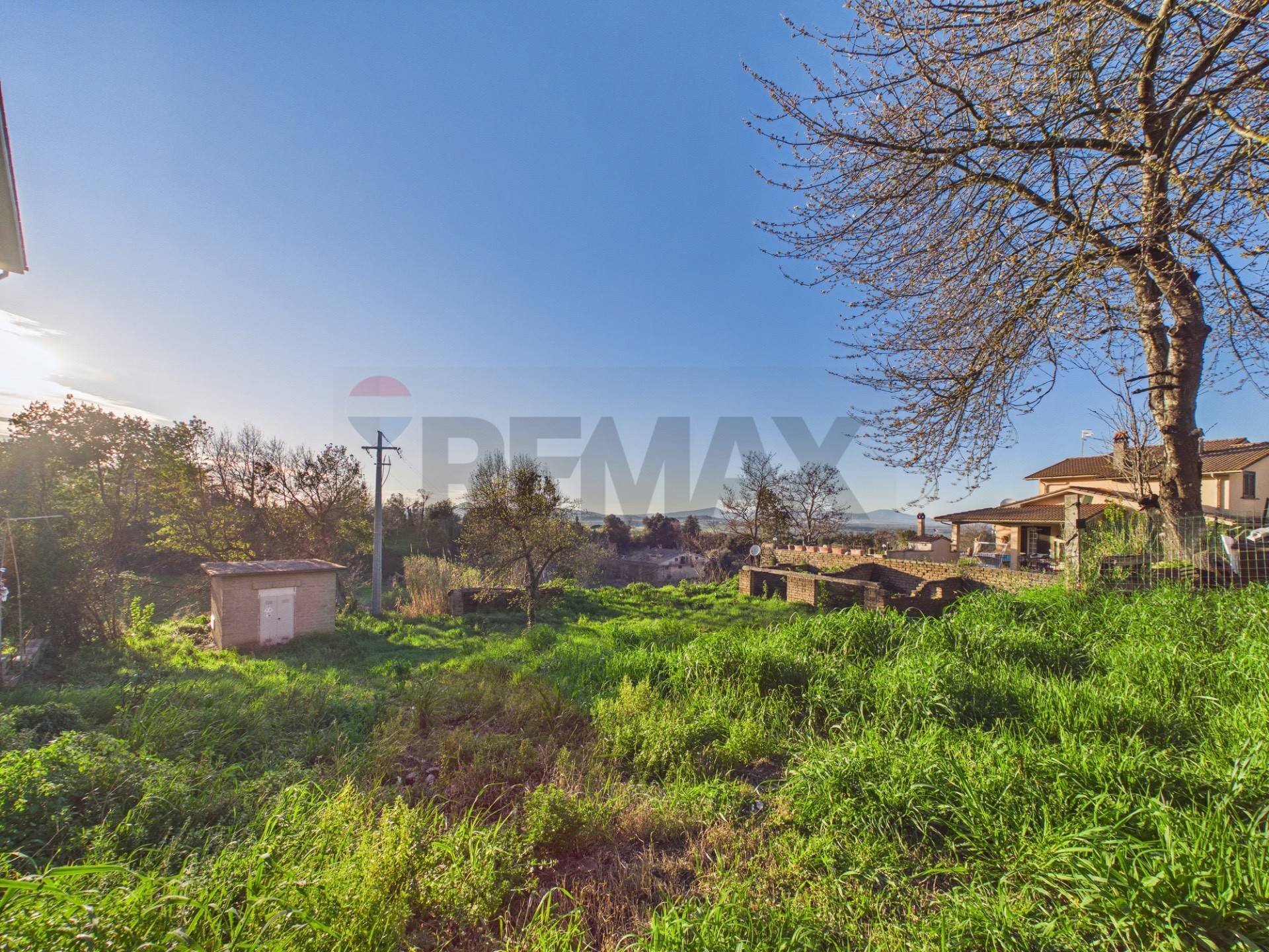 Giardino - Terreno agricolo via del salvatore
30, Campagnano di Roma - foto 3
