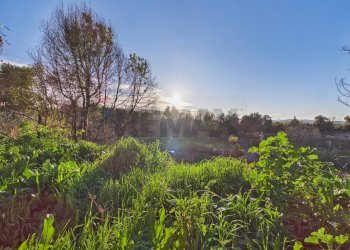 Edificio all\'aperto - Terreno agricolo via del salvatore
30, Campagnano di Roma - foto 16
