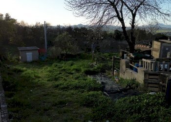 Giardino - Terreno agricolo via del salvatore
30, Campagnano di Roma - foto 22