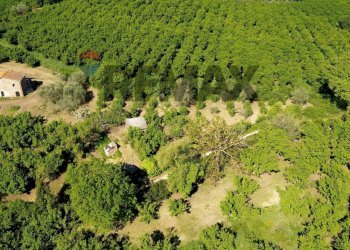 Casa all\'aperto - Agricultural land strada provinciale 30, Vasanello - photo 9