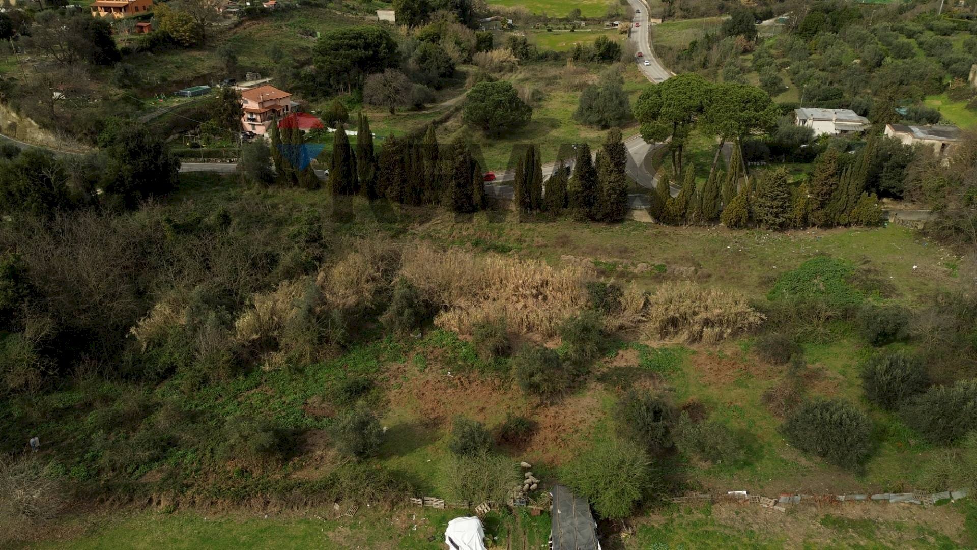 Giardino - Terreno edificabile Formello - foto 3