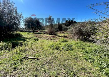 Giardino - Terreno edificabile Formello - foto 4