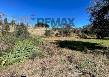 Non correlato - Terreno edificabile Formello - foto 14